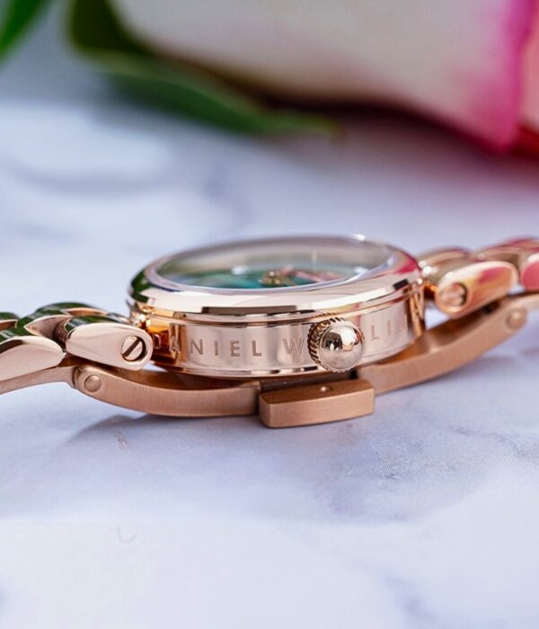 Hình ảnh Đồng Hồ Daniel Wellington Nữ DW00100721