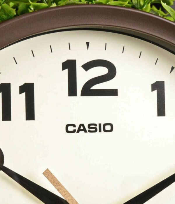 Hình ảnh Đồng Hồ Treo Tường Casio IQ-151-5DF
