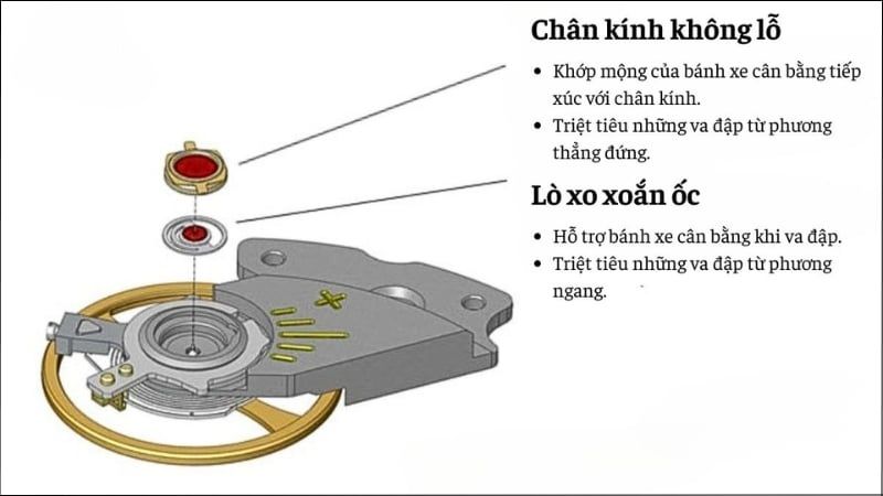 Parashock Trên Đồng Hồ Là Gì? Giải Thích Công Nghệ Chống Sốc Của Citizen 3