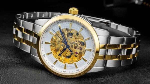 Skeleton Trong Đồng Hồ Là Gì? Đánh Giá Chi Tiết Ưu Và Nhược Điểm 99