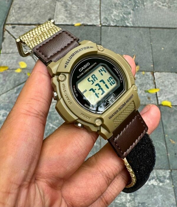 Hinh ảnh Đồng Hồ Casio Nam W-219HB-5AVDF