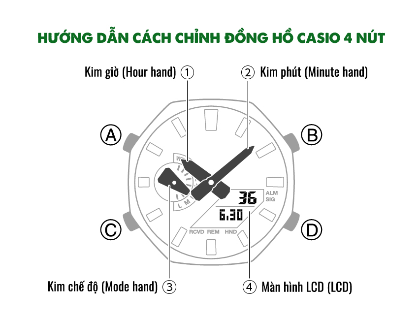 Hướng Dẫn Chỉnh Đồng Hồ Casio 4 Nút Nhanh Chóng Và Chuẩn Xác 1