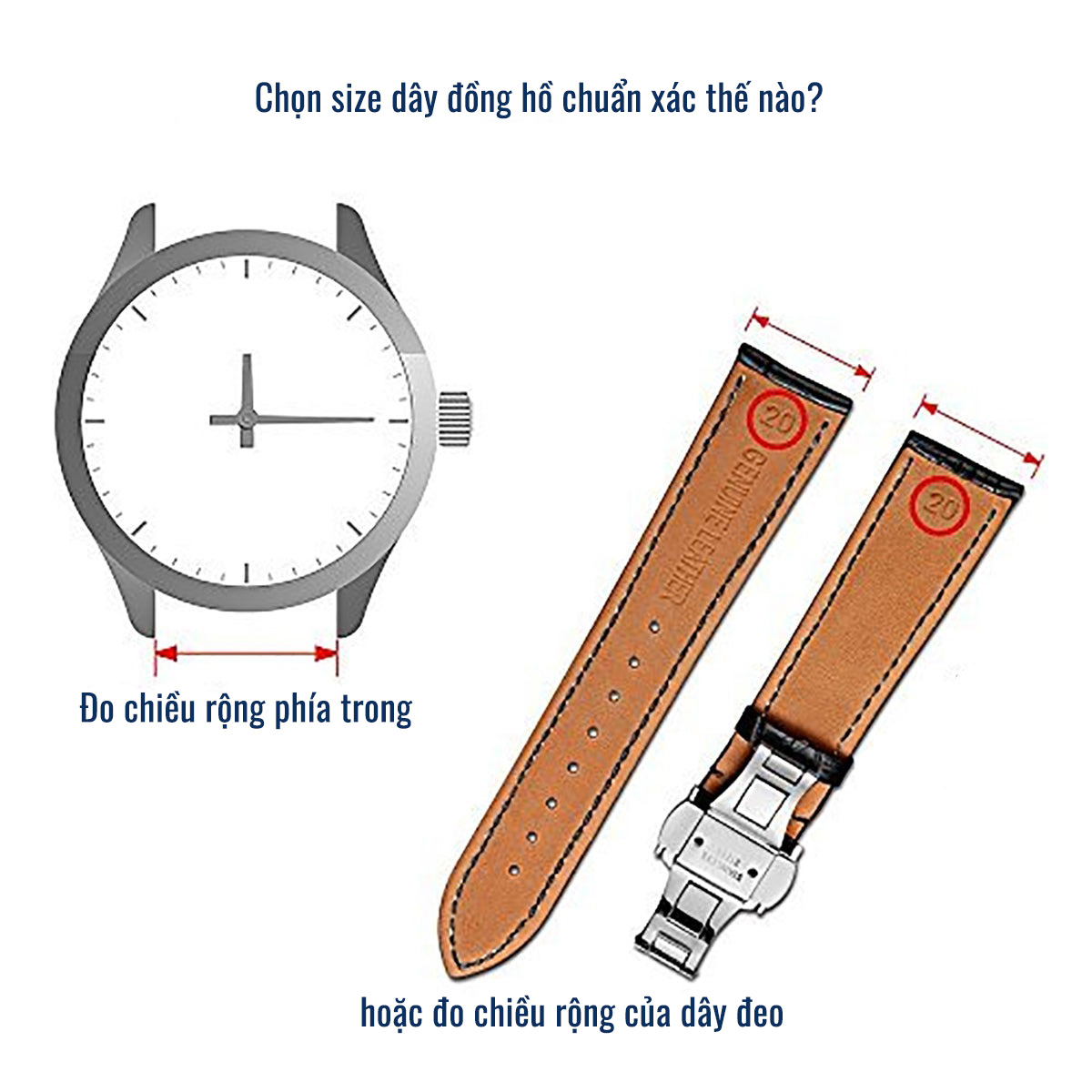 Cách Xác Định Kích Thước Dây Đồng Hồ Nhanh Và Đơn Giản 1
