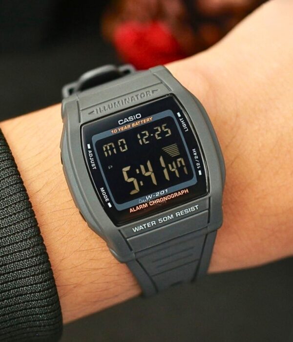 Hình ảnh Đồng Hồ Casio Nữ W-201-1BVDF